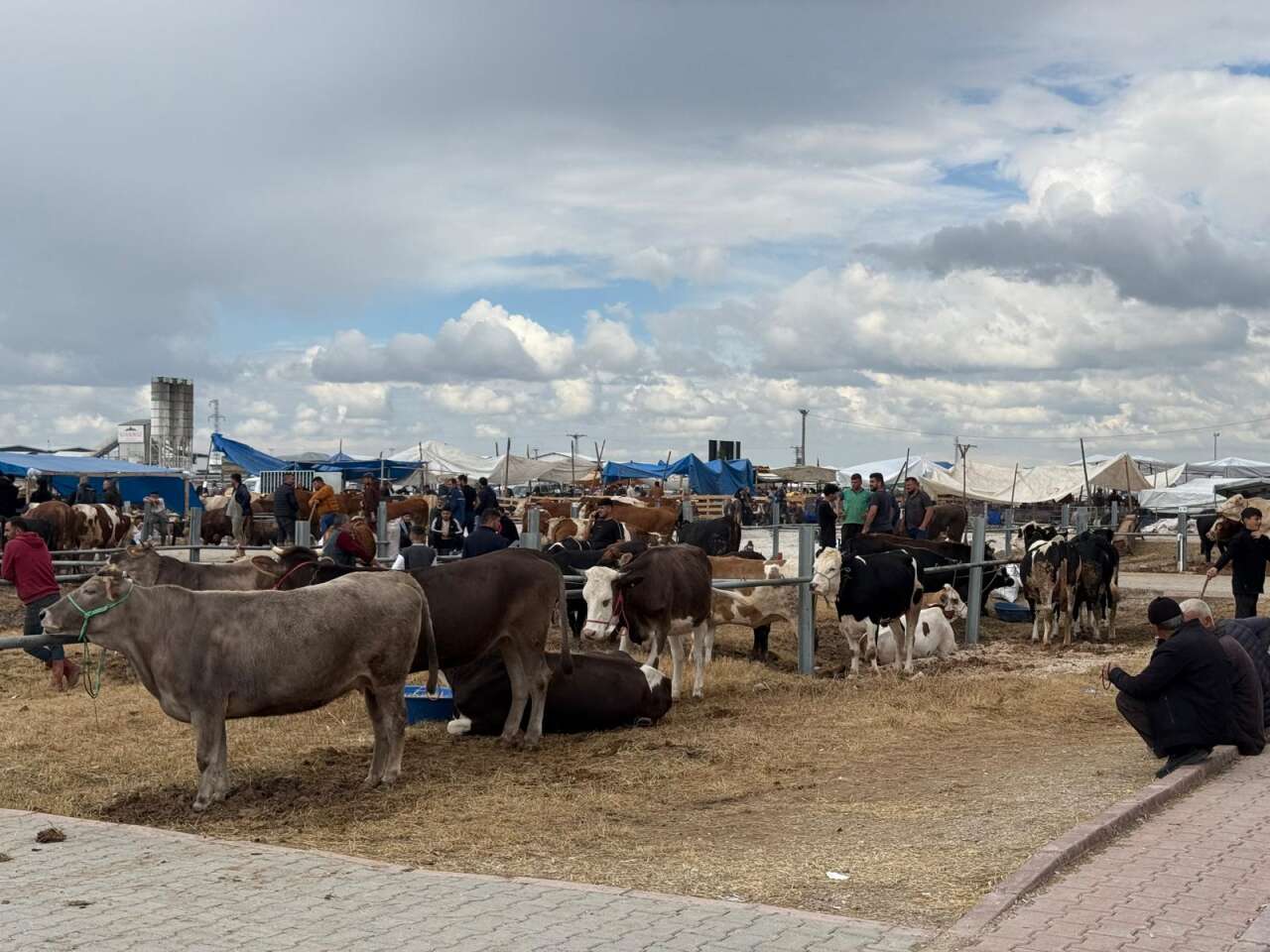 Konya’da arefe yoğunluğu! Kurban pazarlarında sıkı pazarlık yapılıyor 10